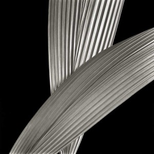 Ribbed Leaves I