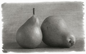 Seckel Pears