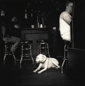 Bulldog and its Owner, New Orleans