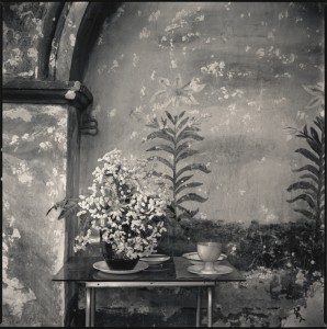 Church Flower, San Lazaro Psychiatric Hospital, Quito, Ecuador