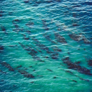 Acquamarine Sea, California