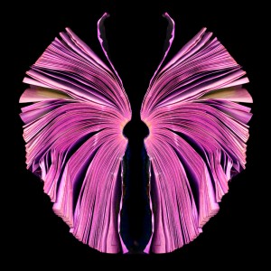 Pink Butterfly