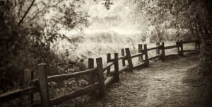Meadow at Dawn, Henry Cowell