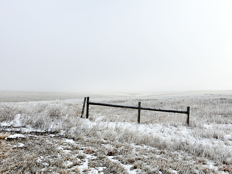 Fence, Van Metre County, South Dakota