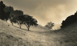 Carmel Valley Mist