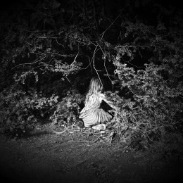 Hiding not Seeking