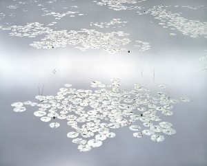 Shining Water Lilies, Maine