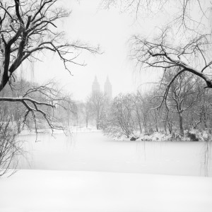 The Lake at Central Park, NYC
