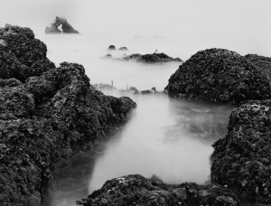 Arch Rock & Tide Pools (H)