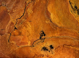 Spectrum Suite # 304