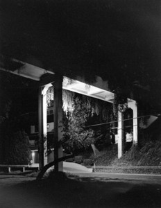 Goldenrod Street Bridge