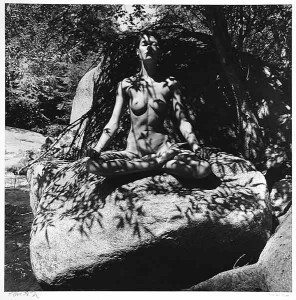 Twinka Under Tree Shadow, Yosemite