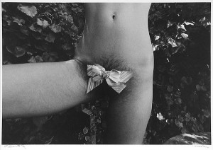 A Pubic Hair Butterfly, Carmel (#8568-23)