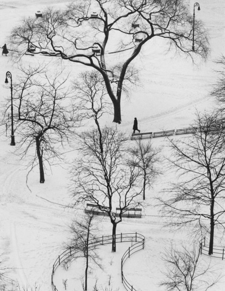 Washington Square, NY: Andre Kertesz (Sold)