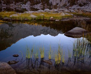 Grasses. Sunrise, Kearsage Lake, Kings Canyon