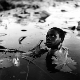 Among the Lilies, Mali
