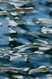 Freedom Tower, New York