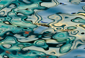 Polythemus, Hong Kong