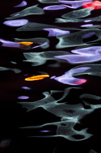 Yamabuki Ogon, Hong Kong