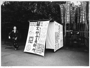 Simon: A Private Landscape (#5558-16)