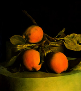 Wild Apples (Sold)
