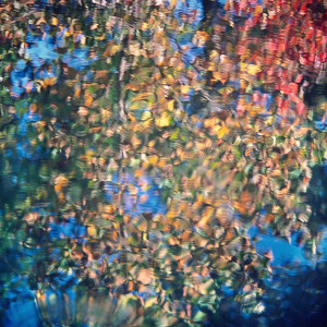 Autumn Reflections, KY