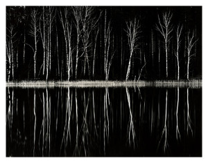 Black Forest, Poland