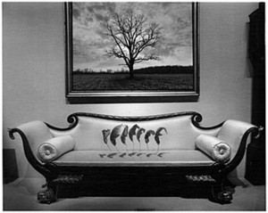 Untitled, aka Leaves Over Couch