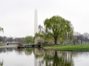 Constitution Garden Pond, National Mall