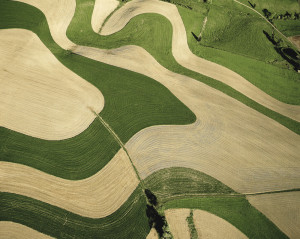 Contour Farming near Shamokin, PA