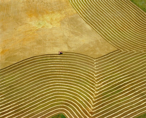 Wheatfield & Tractor 2, near Yankton, SD