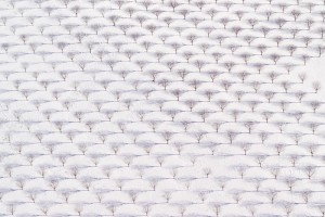 Textured Orchard 2, Sodus, NY