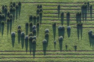 Spruce Farm near Newark, NY