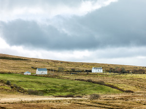 Bog Farm, Donegal