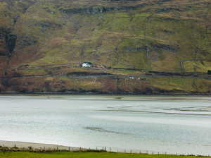 Sheep Farm, Loughros Beg Bay, County Donegal