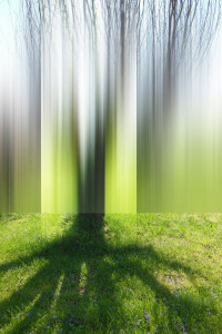 And the Greening Begins