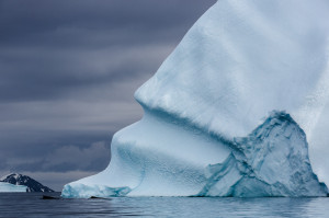 Two Humpback Whales and Iceberg, Cierva Cove