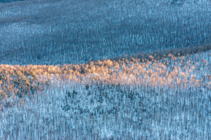 Sunlit Ridge, Cascade Mts., Adirondacks, NY