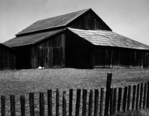 Barn, Castroville