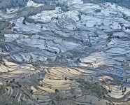 Rice Terraces, Laohuzui I, Yunnan, China