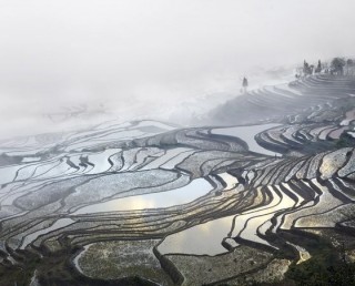 Rice Terraces, Duiyishu, Yunnan, China