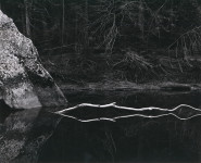 White Branch, Merced River, Yosemite (Sold)