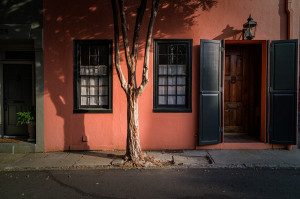 Tree Shadows, Charleston, South Carolina