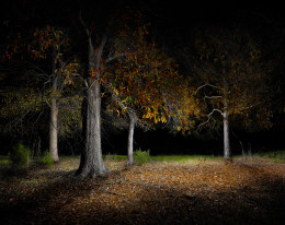 Untitled #5