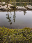 Islands and Tree Reflections, Yosemite
