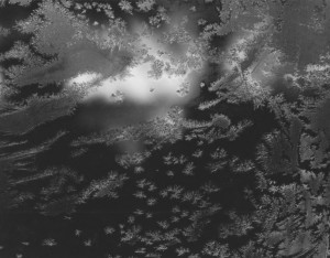 Frosted Window, Revere, MA (Sold)