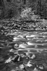Autumn on the Merced, Yosemite