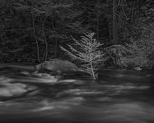 Last Light on the Merced, Yosemite