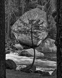 Point of View, Yosemite