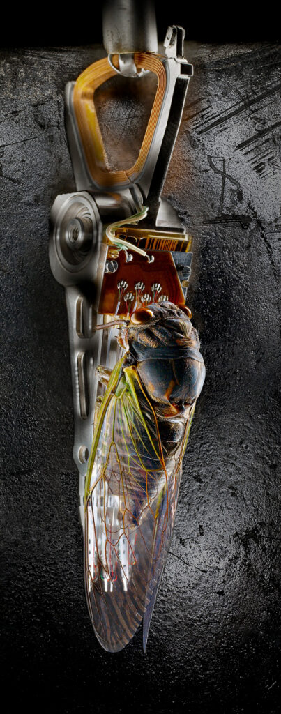 TechBug